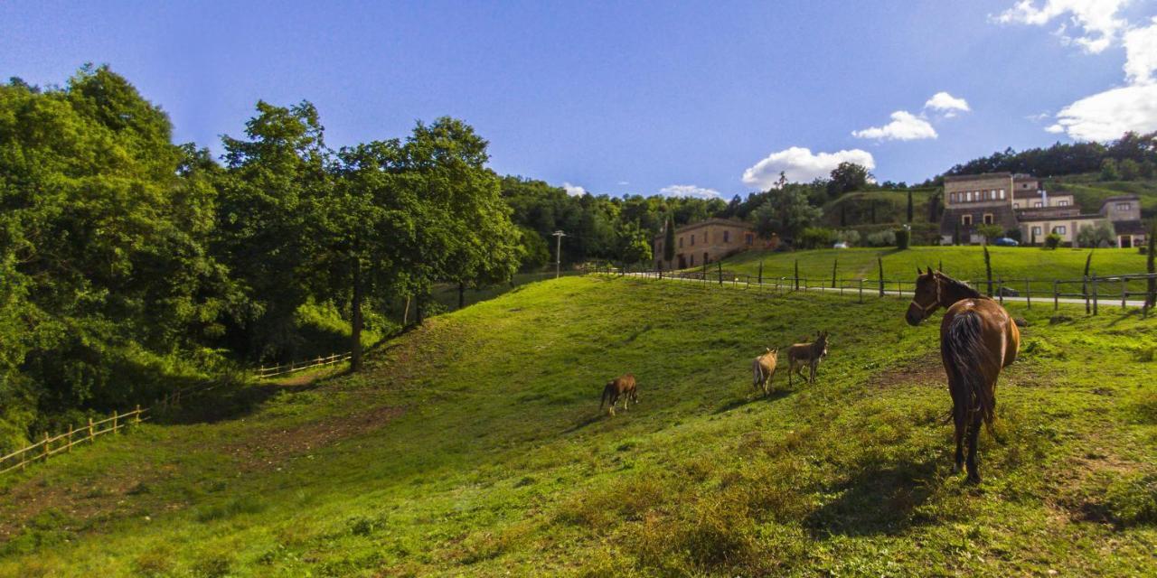 Agriturismo Rio Coverino Borghetto  Eksteriør billede